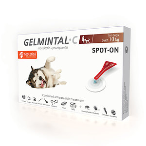 GELMINTAL C SPOT-ON for dogs over 10 kg