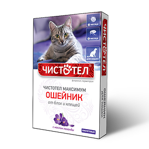 CHISTOTEL MAXIMUM collar for cats (violet)