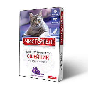 CHISTOTEL MAXIMUM collar for cats (red)