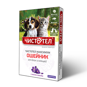 CHISTOTEL MAXIMUM collar for puppies and kittens (violet)