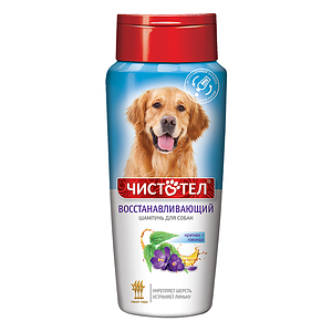 CHISTOTEL "Revitalizing" Shampoo for dogs, 220 ml